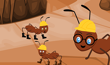 What are human families and relationships like?