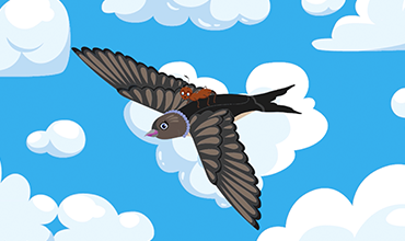 How can being online not be safe?